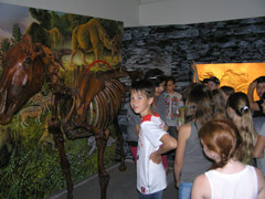 Landesausstellung Mensch & Pferd